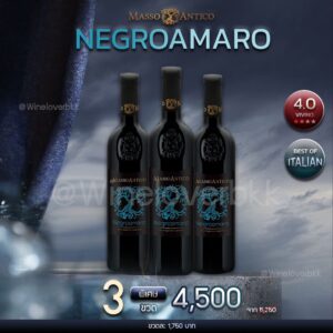 Negroamaro Masso Antico เป็นไวน์ที่ยอดเยี่ยมสำหรับการจับคู่กับอาหารต่างๆ เข้ากันได้ดีกับเนื้อย่าง พาสต้า และชีส นอกจากนี้ยังเป็นตัวเลือกที่ดีสำหรับการดื่มด้วยตัวเอง